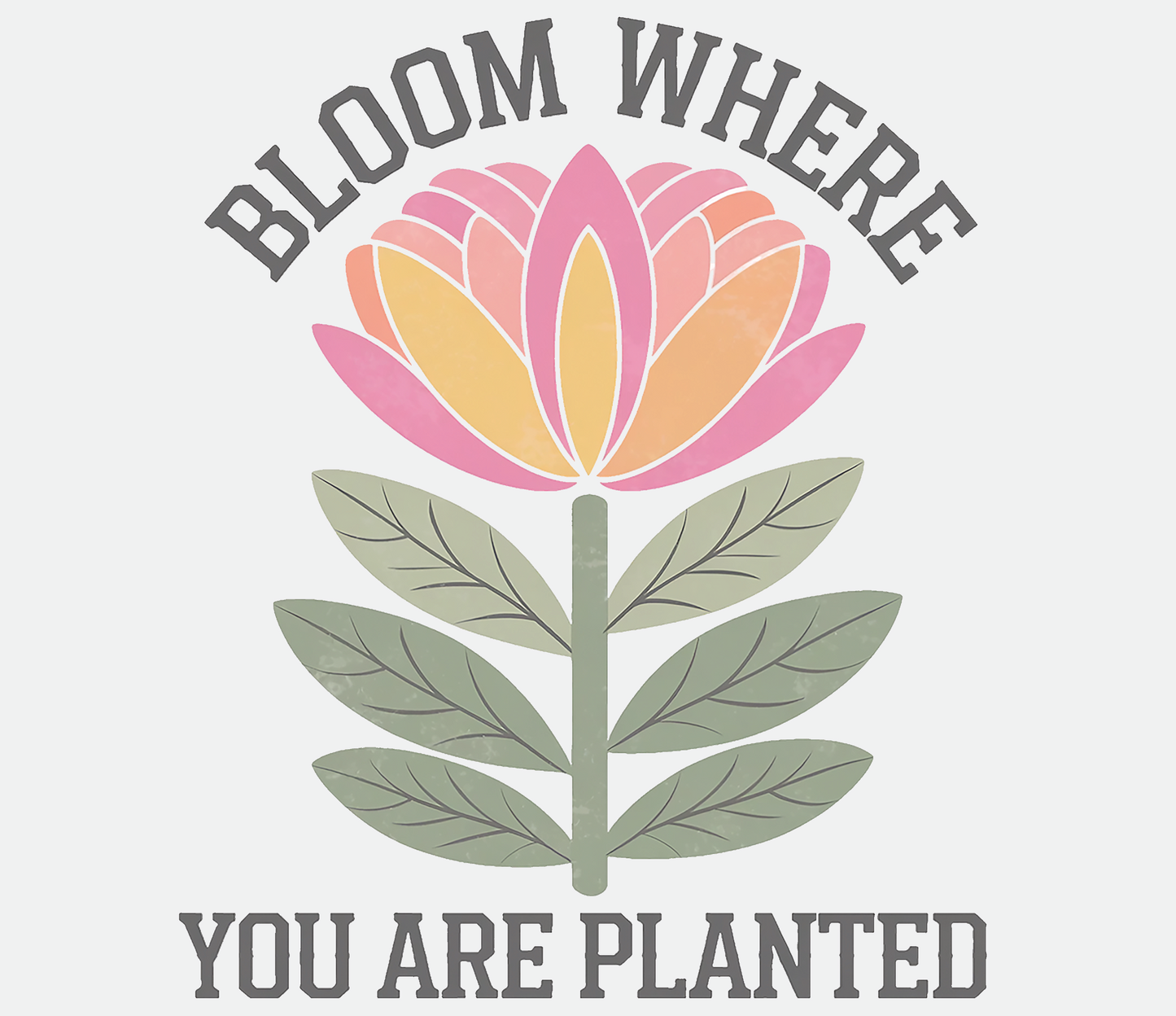 Bloom