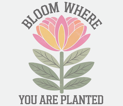 Bloom